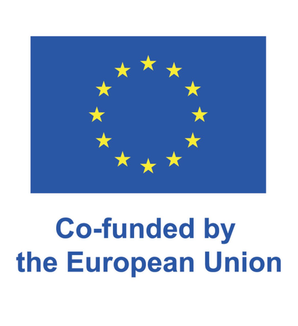 Co-funded by the European Union